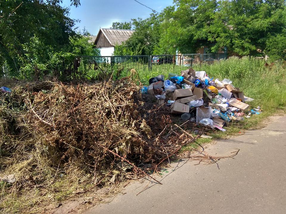 В курортном селе Килийского района глава РГА пригрозила вернуть выброшенный за пределы баз отдыха мусор владельцам