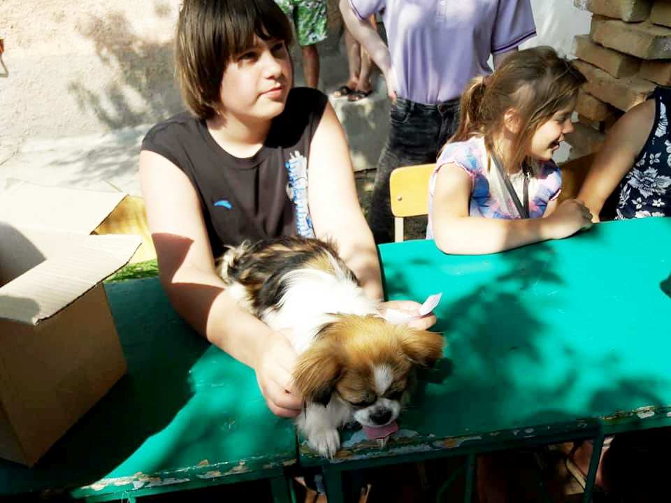 Собаки, хомяки и даже коза - в Килии провели первую любительскую выставку домашних животных