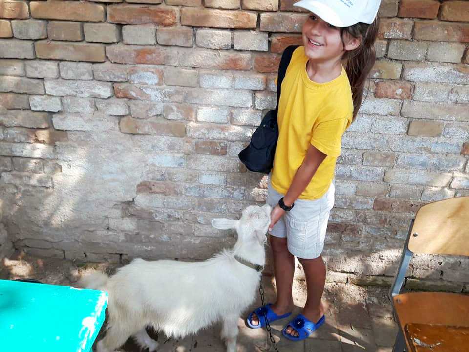 Собаки, хомяки и даже коза – в Килии провели первую любительскую выставку домашних животных