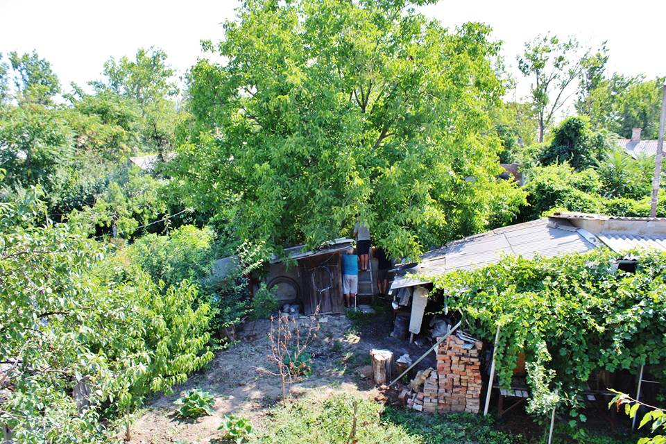 В Килии скандальный депутат от "Батькiвщини" незаконно проник к соседям, чтобы спилить чужое дерево