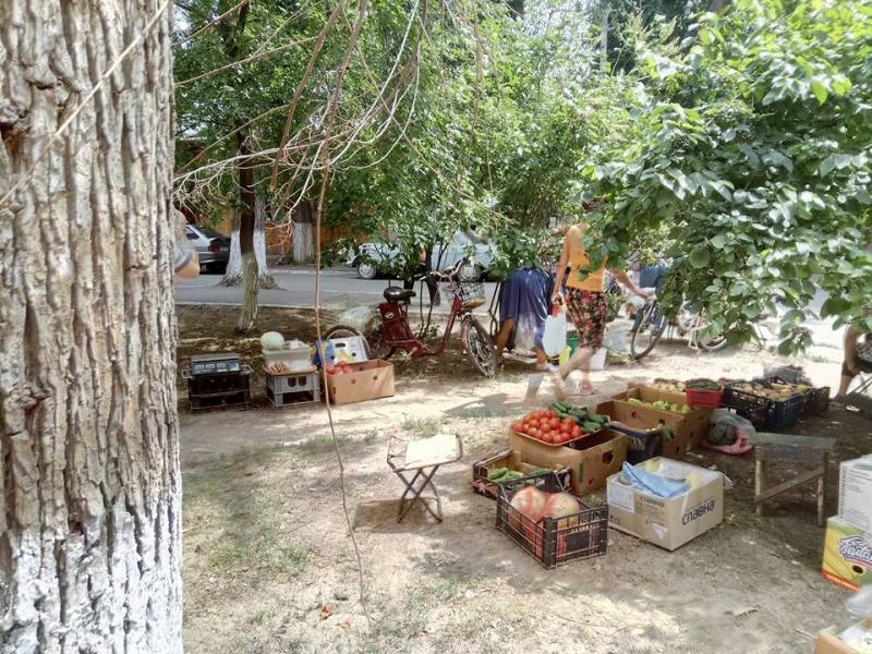 Полиция Измаила "кошмарит" бабушек-огородниц: очередной разгон стихийного рынка по Кишиневской
