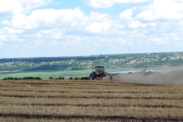 В Болградском районе завершили уборку ранних зерновых - урожайность снизилась