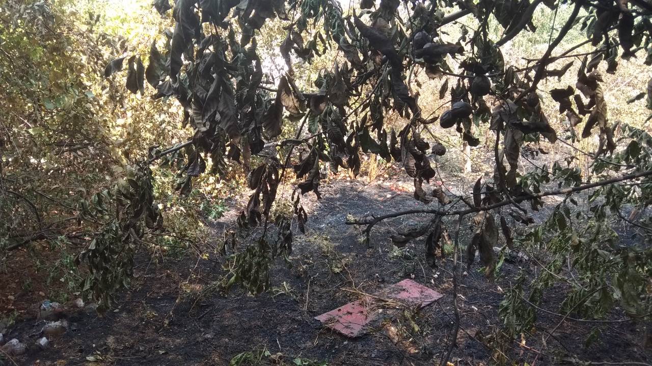 В Измаиле спасатели ликвидировали пожар в нежилом частном доме