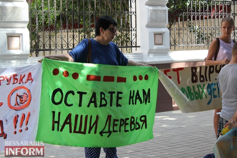"СТОП экоцид!": в Измаиле активисты восстали против массового уничтожения зеленых насаждений