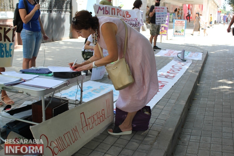 "СТОП экоцид!": в Измаиле активисты восстали против массового уничтожения зеленых насаждений