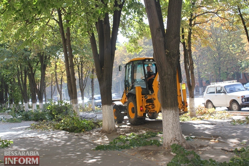 На проспекте Мира в Измаиле проводится санитарная обрезка деревьев.
