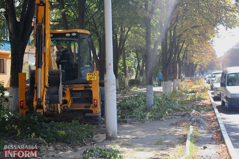 На проспекте Мира в Измаиле проводят санитарную обрезку деревьев