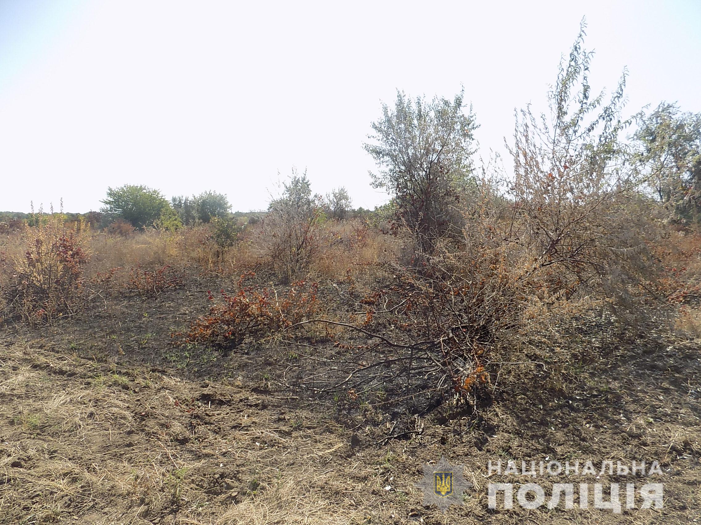 В полиции и Белгород-Днестровской РГА говорят, что у Лакарена горели не виноградники, а поле с бурьяном.