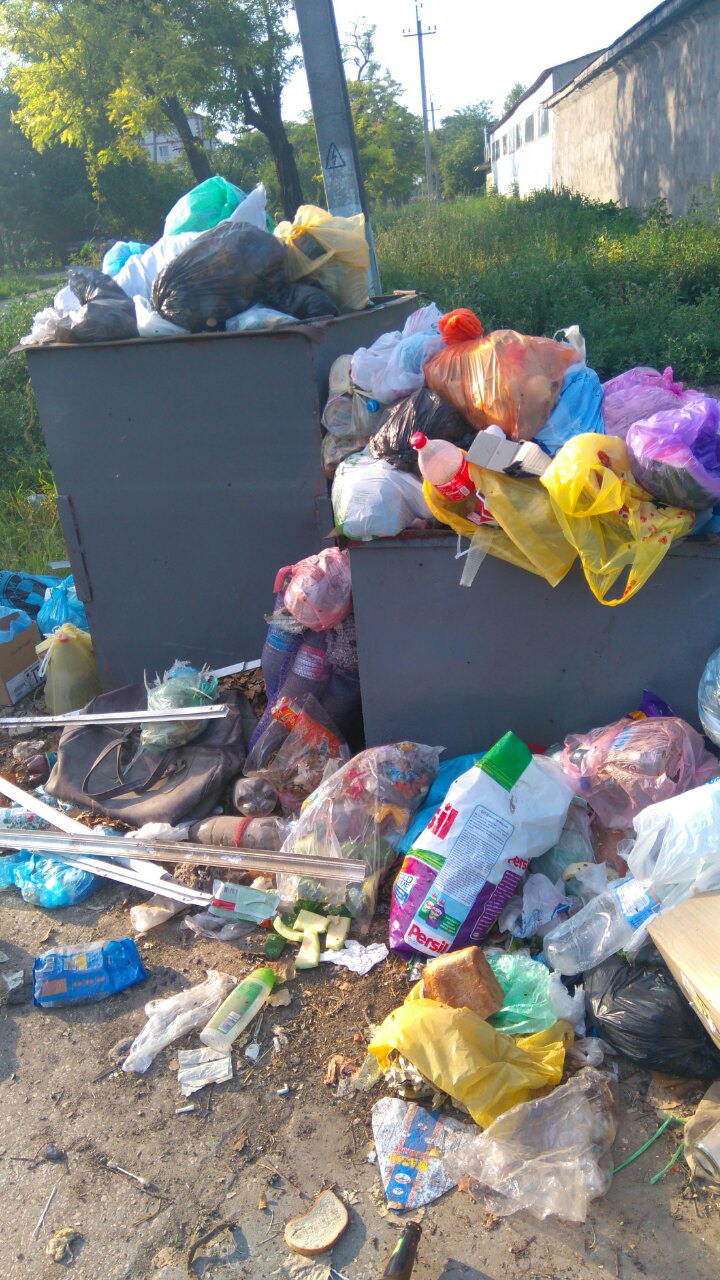В Болграде власти одобрили покупку мусоровоза. Тем временем с улиц города раз в неделю вывозят отходы (ФОТО)