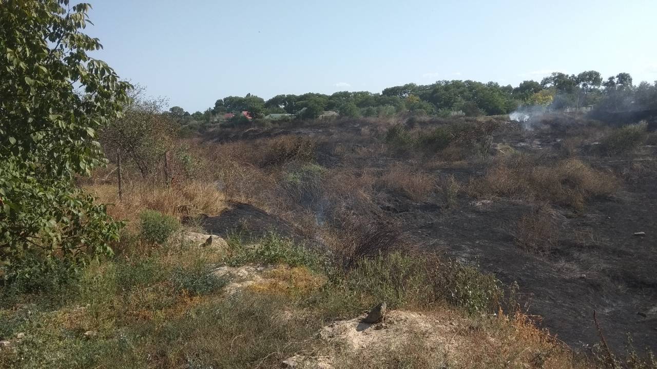 В Измаиле из-за неосторожного обращения с огнем сгорел гараж и 3 гектара сухой травы
