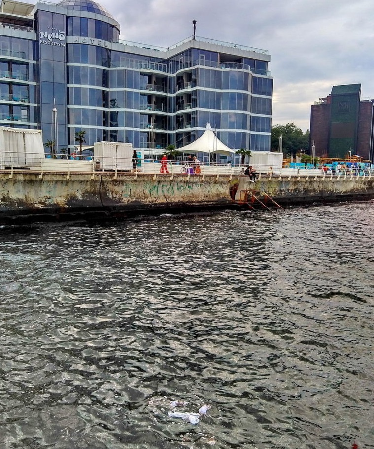 В Одессе возле дельфинария "Немо" в море плавают трупы животных (ФОТО)