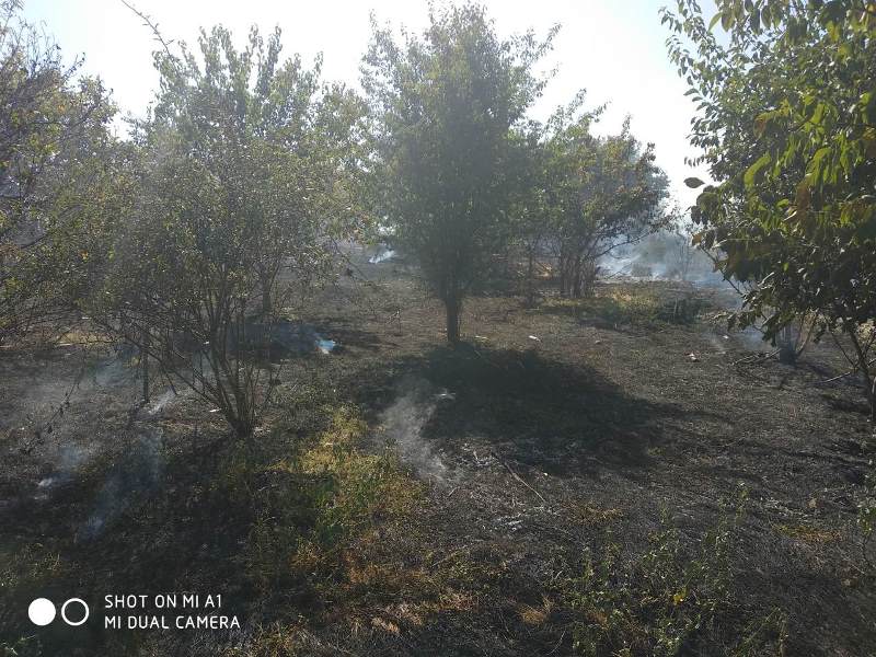Измаильский р-н: в Сафьянах загорелось сельское кладбище