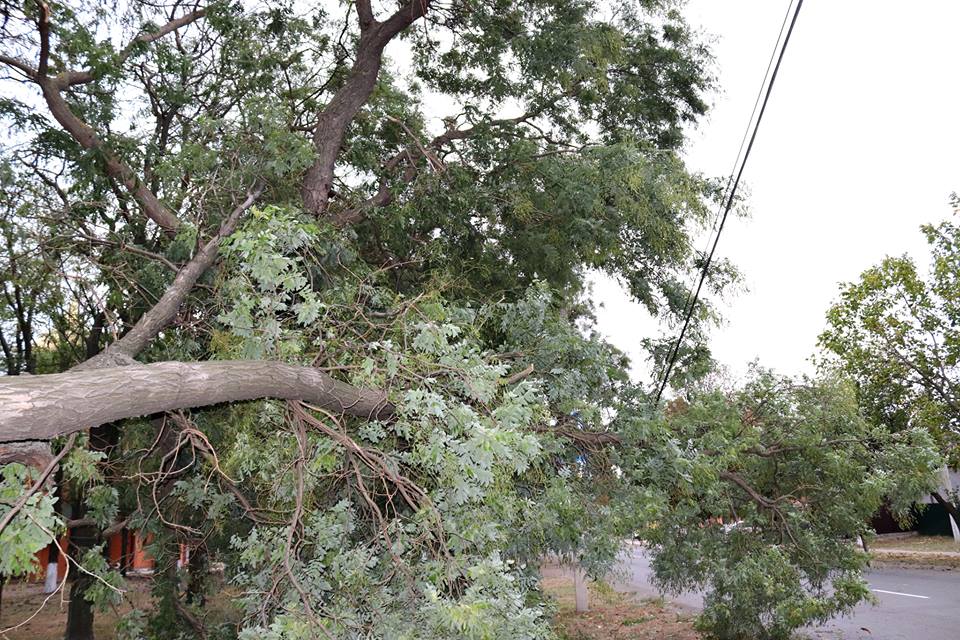 В Измаиле в результате непогоды свергнуто множество деревьев, которые повредили линии электропередач и перекрыли дороги.