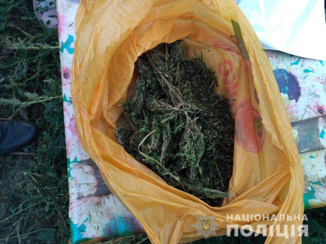 Полный набор: в Болграде задержан местный с оружием и наркотиками