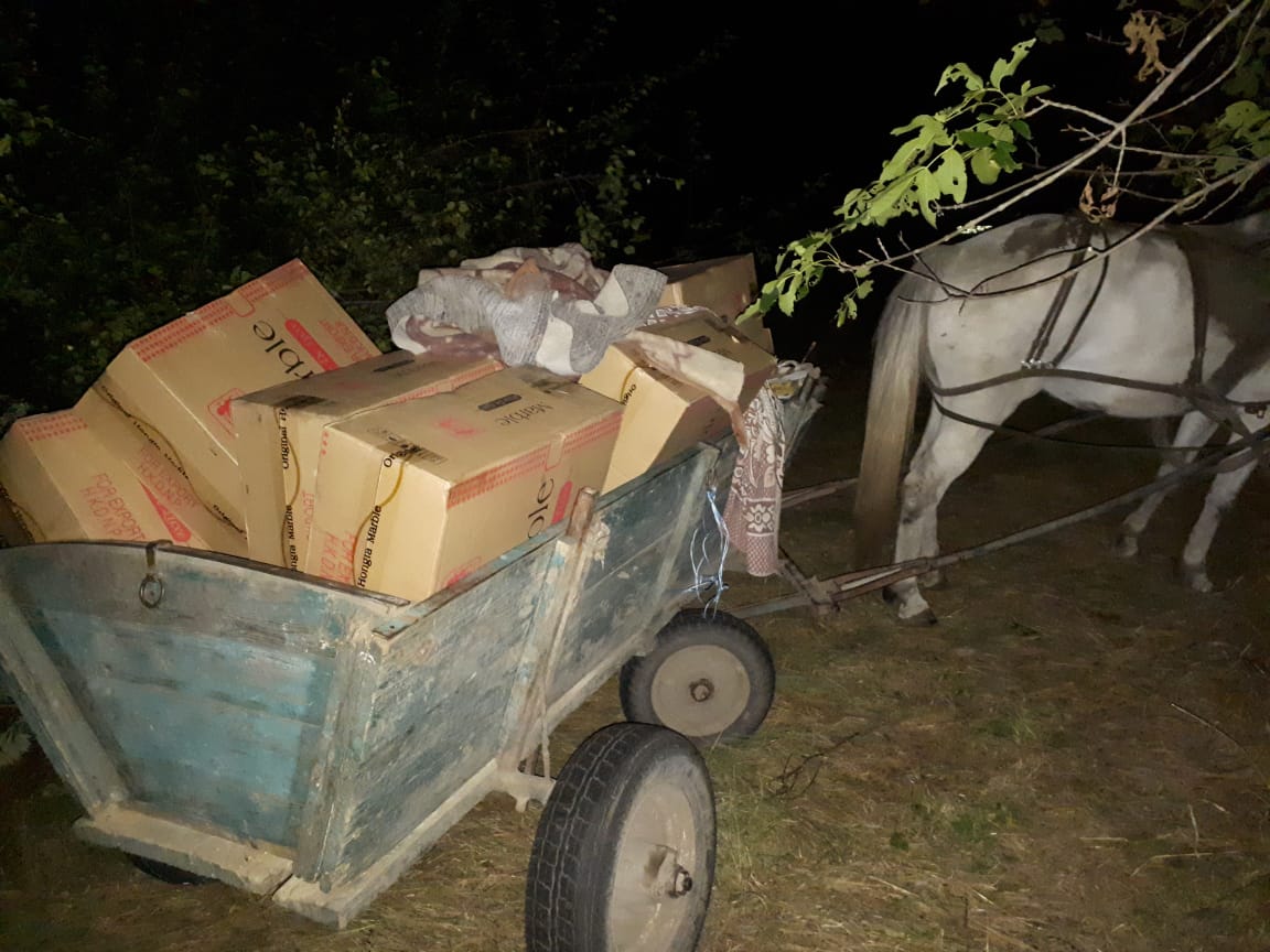 Лошадью - через границу, а в телеге - контрабанда: в Одесской области задержали "бизнесменов" (ФОТО, ВИДЕО)