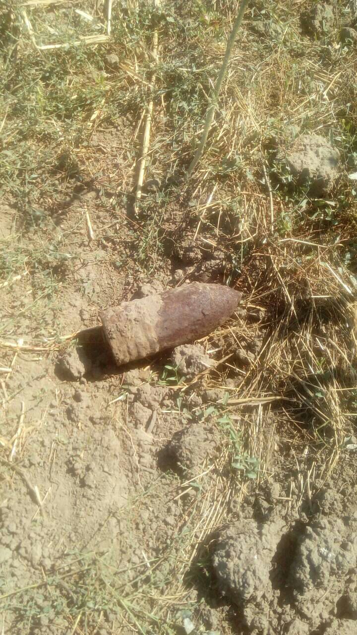 В Измаильском районе обнаружили немецкий снаряд с военных времен (ФОТО)
