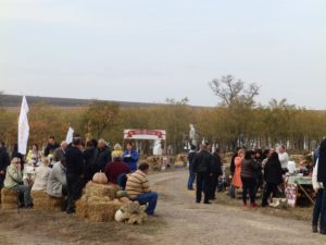 Столица каберное: в Тарутинском районе прошел Фестиваль вина 2018