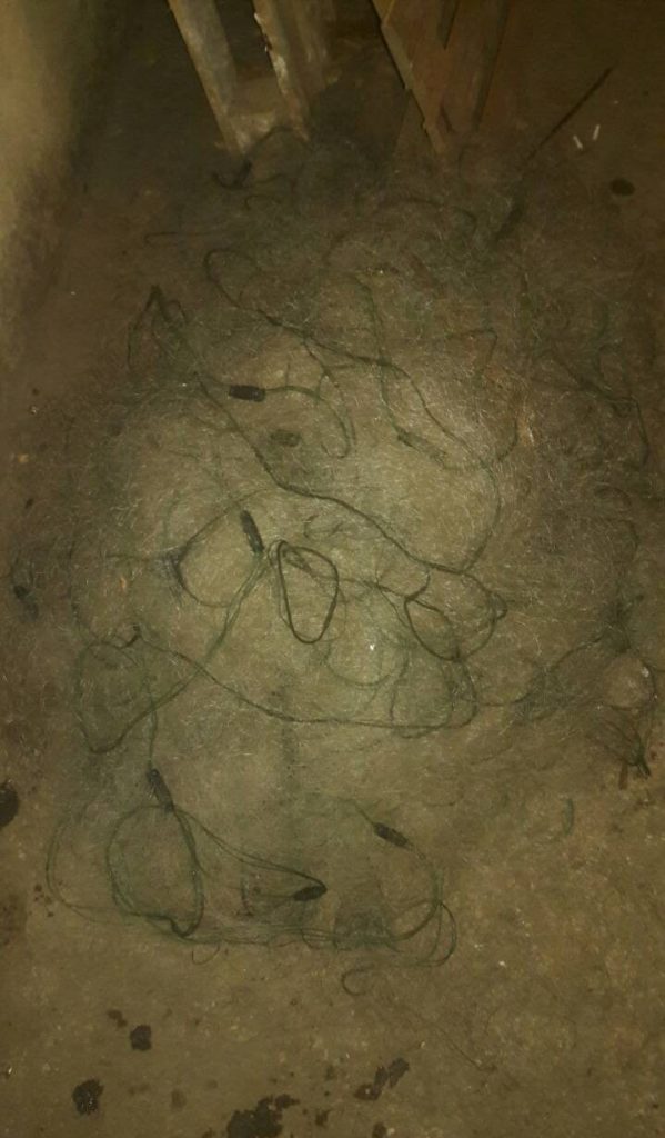 На озере Кагул пограничники обнаружили полкилометра браконьерских сетей с рыбой
