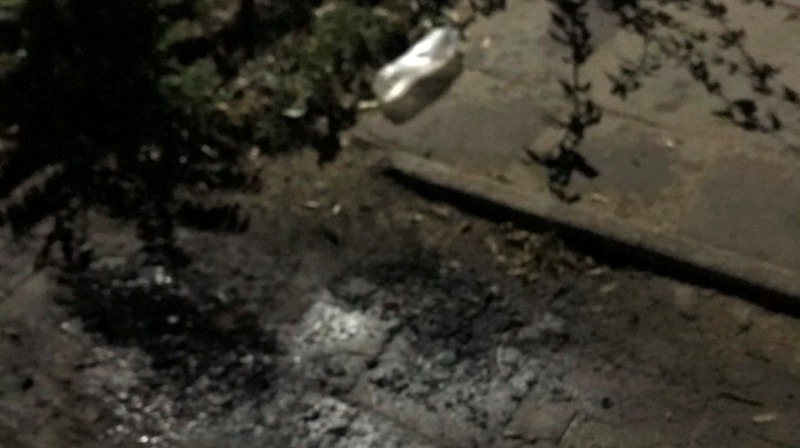 "Меня неоднократно предупреждали..." - в Аккермане спалили автообщественницы. Она винит чиновников из Залива