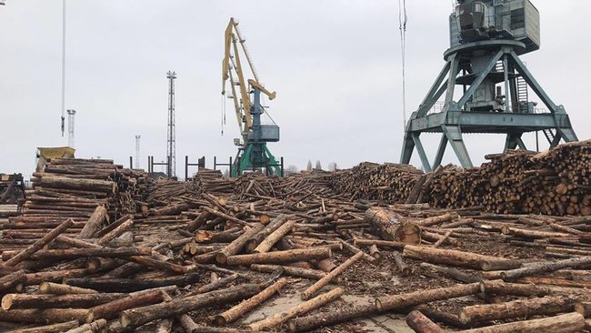 Из Ренийского порта в Румынию отправляли контрабандный лес-кругляк под видом дров