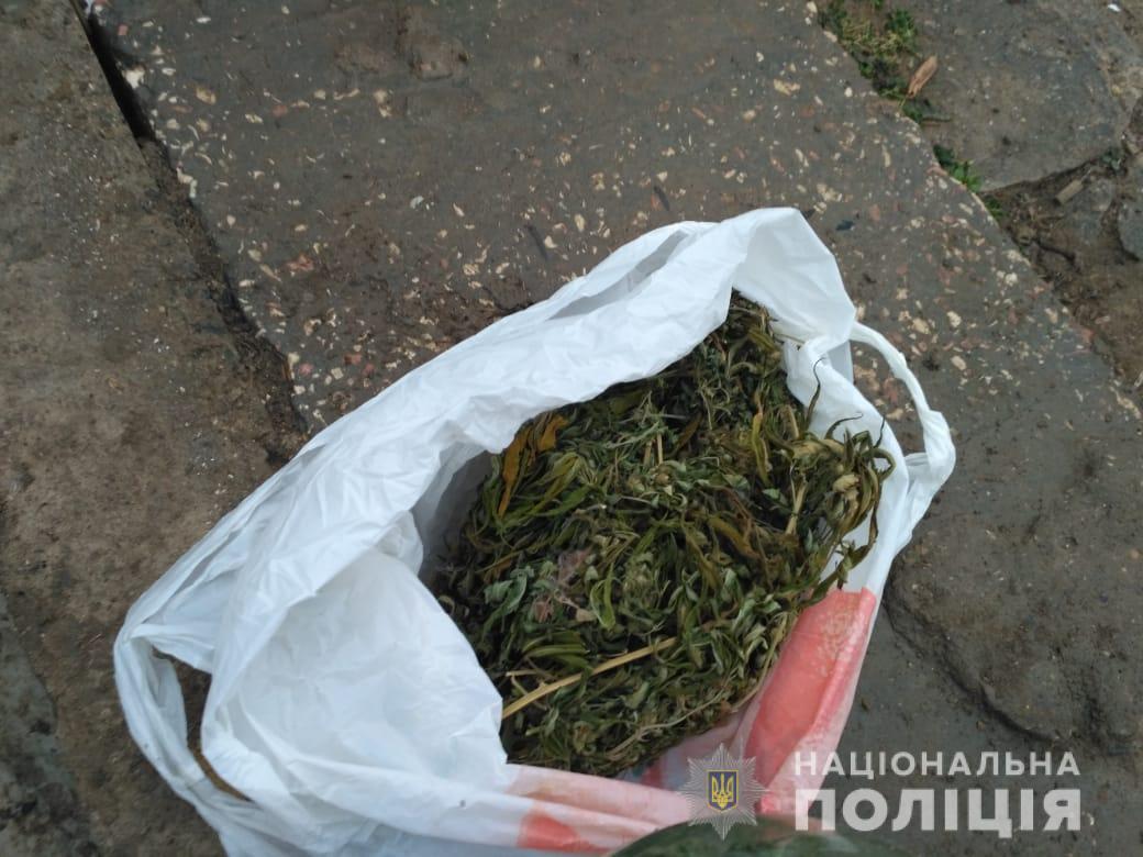 Выращивал и сушил для себя: у жителя Болградского района изъяли около килограмма марихуаны