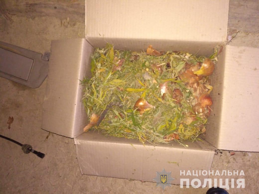 Выращивал и сушил для себя: у жителя Болградского района изъяли около килограмма марихуаны
