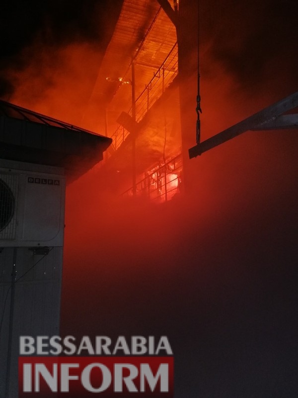 Очередной поджог баз отдыха в Затоке: огнем уничтожено 20 зданий