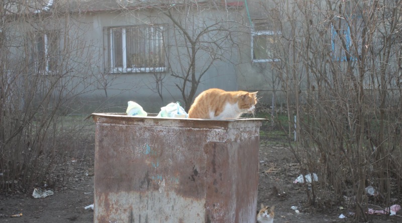 В Татарбунарах ищут пути решения  "мусорной" проблемы