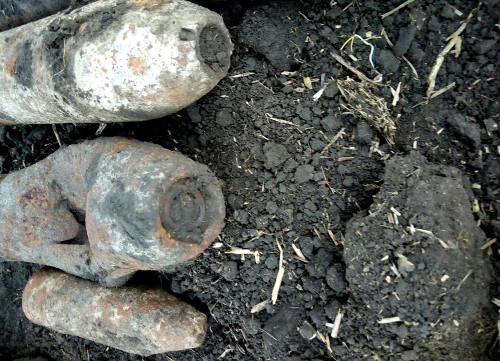В Саратском районе обнаружили "кладбище" взрывоопасных предметов времен Второй мировой войны