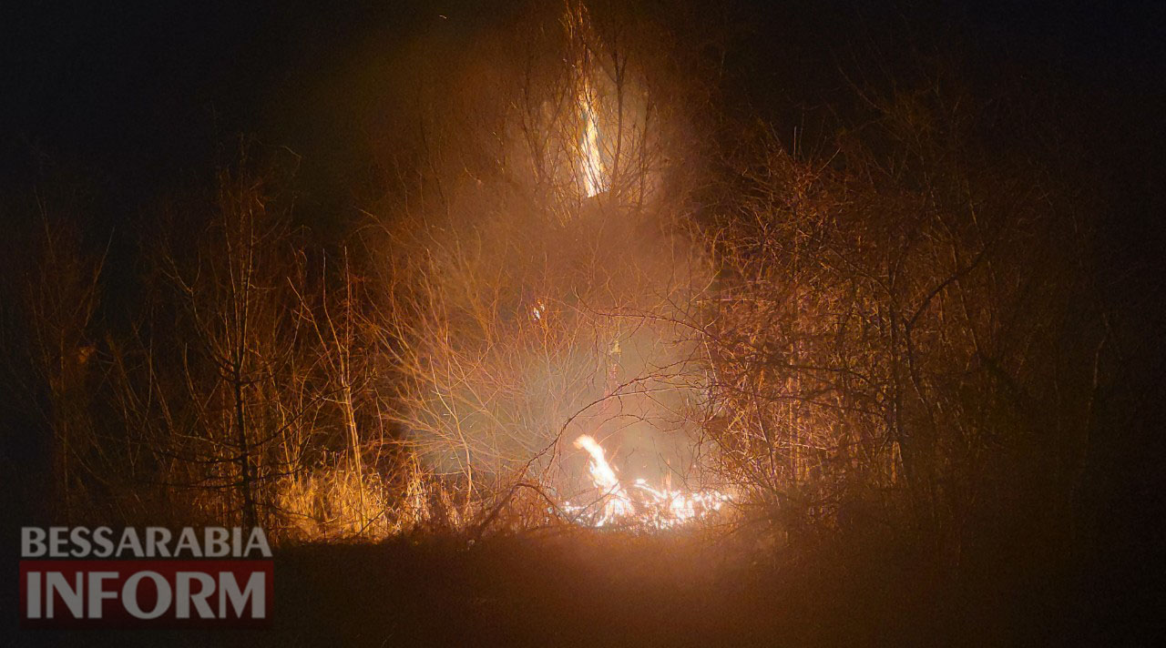 В селе Лески Килийской ОТГ возгорание травы перекинулось на нежилые дома, есть угроза жилым