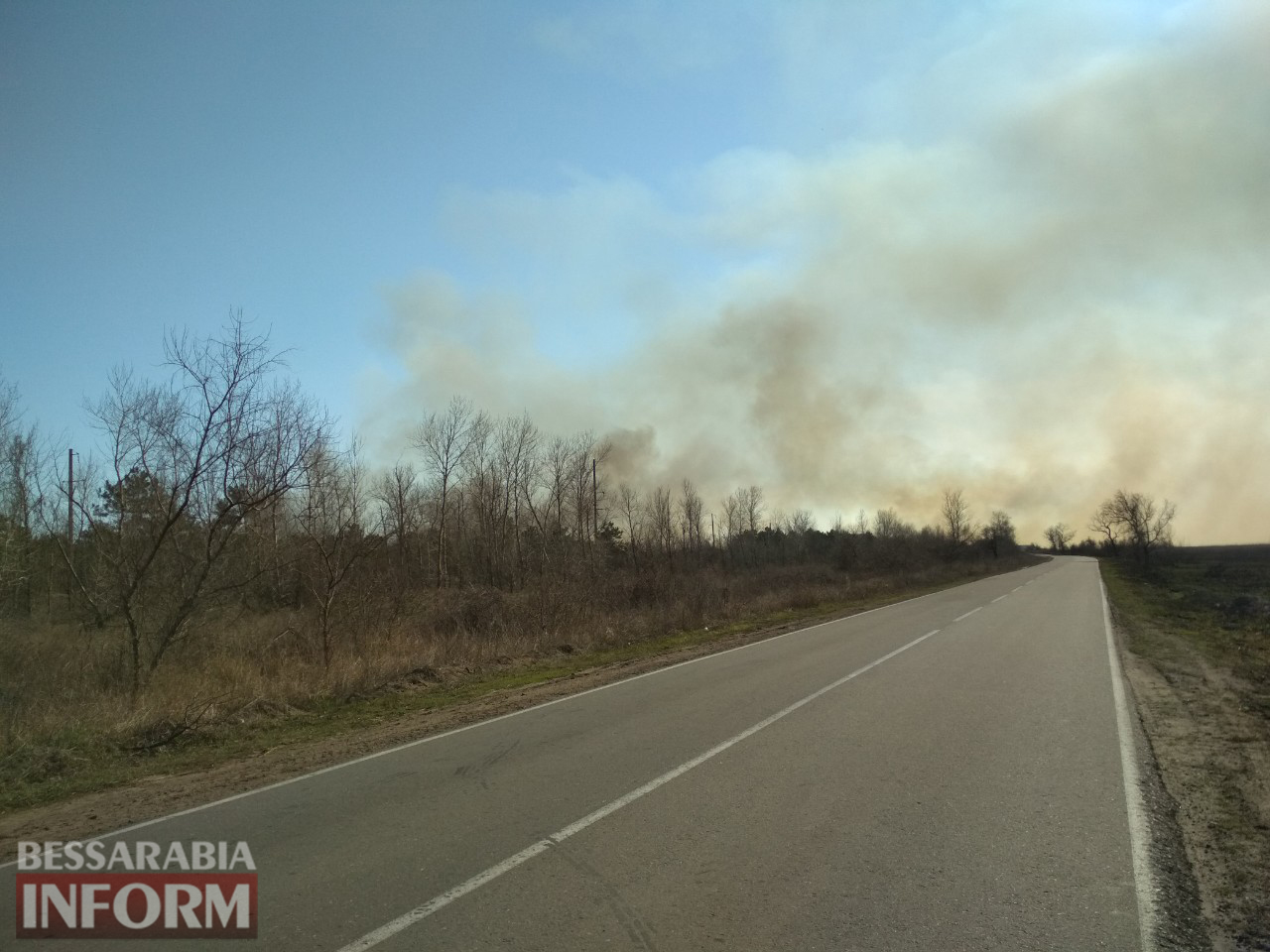Из-за сильного задымления от пожара в Вилковском лесничестве полиция перекрыла автодорогу Т-1607.