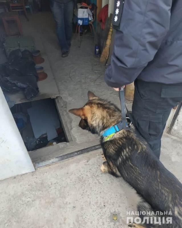 Наркотики, оружие и ювелирка: в Измаиле правоохранители провели ряд обысков со спецназом и собаками