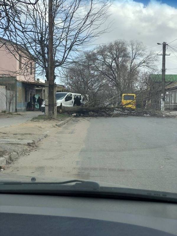 Поваленные деревья, крыши и остановка: шквальный ветер наделал немало бед в Белгород-Днестровском и районе (фотофакт)