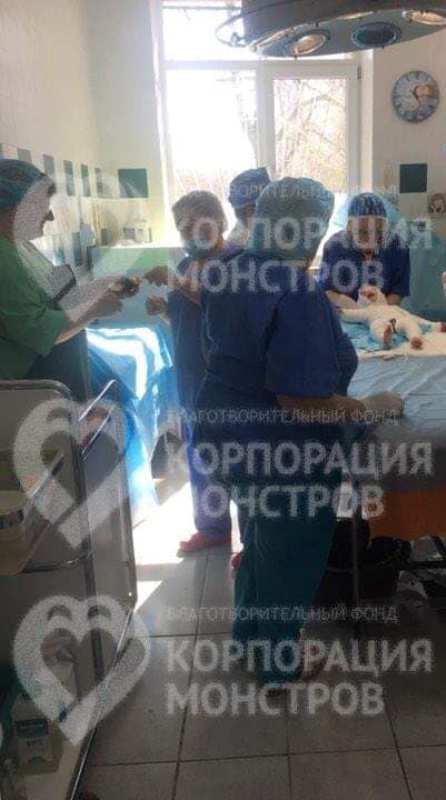 Мама малыша, упавшего в ведро с кипятком в Белгород-Днестровском районе, рассказала подробности инцидента