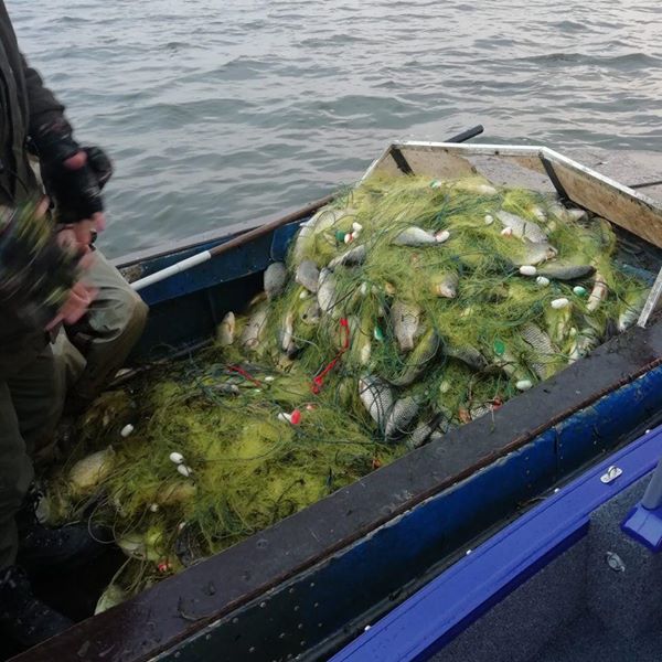 На заповедной территории Днестровского лимана задержали браконьеров, которые выловили более 100 кг рыбы