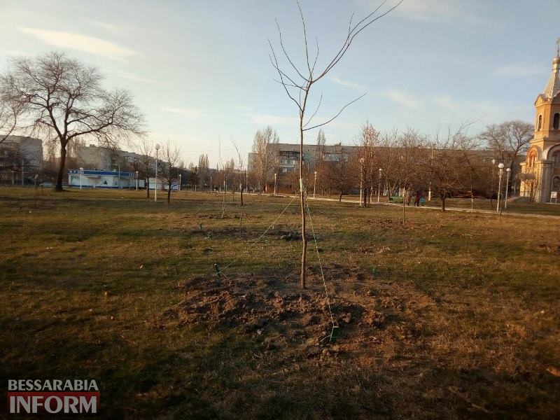 В Измаиле приступили к весенней высадке деревьев - начали с парка Памяти (фотофакт)