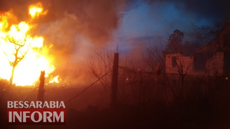В Белгород-Днестровском пламени от пылающих камышей чуть не добралось до жилых домов