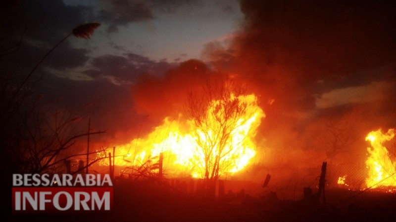 В Белгород-Днестровском пламени от пылающих камышей чуть не добралось до жилых домов
