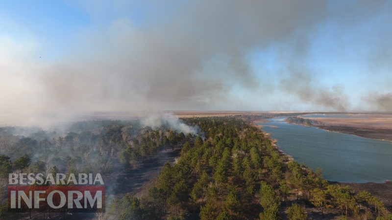 Масштабный пожар в Вилковском лесничестве потушили