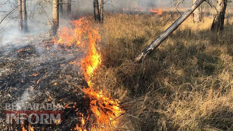 Пожар в Вилковском лесничестве с высоты птичьего полета и в непосредственной близости к огню