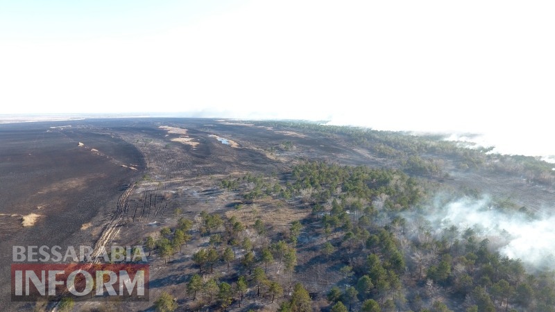 Масштабный пожар в Вилковском лесничестве потушили