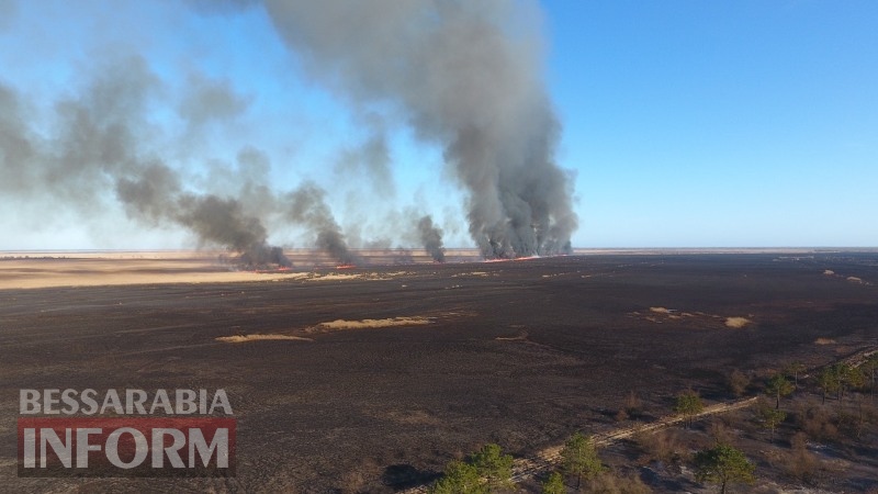 Пожар в Вилковском лесничестве с высоты птичьего полета и в непосредственной близости к огню