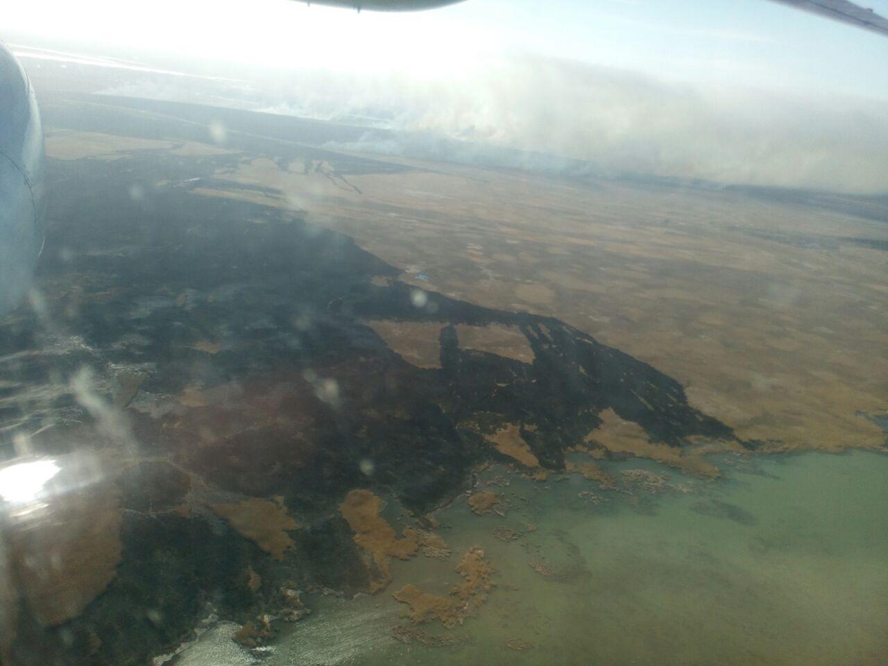 В Вилковском лесничестве разбушевался мощный пожар, к тушению которого привлечена авиация