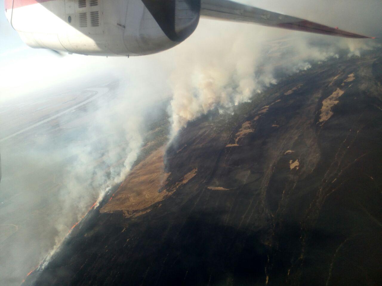 В Вилковском лесничестве разбушевался мощный пожар, к тушению которого привлечена авиация