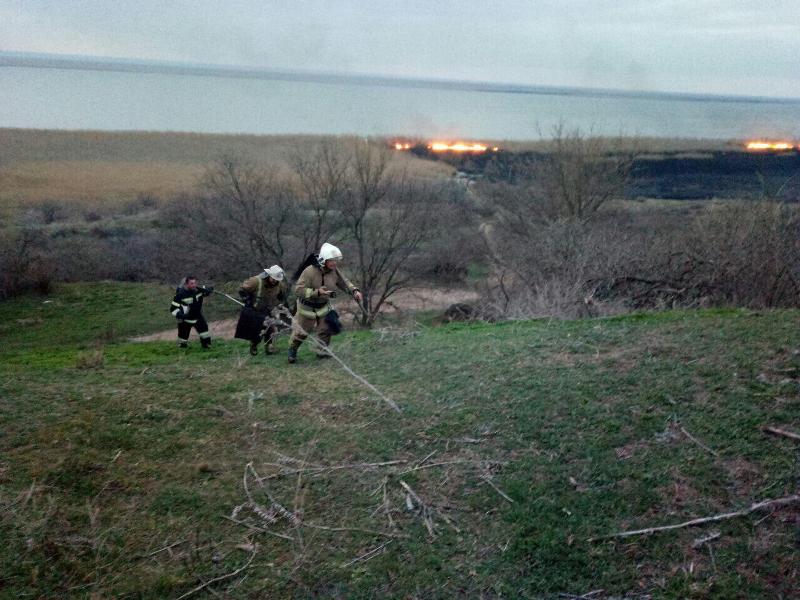 Во время ликвидации пожара в экосистеме Нижнеднестровского природного парка пожарные спасли собаку