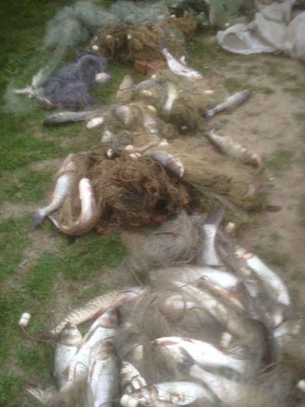 Возле Килии был задержан браконьер с моно сетями и 45 килограммами незаконного улова
