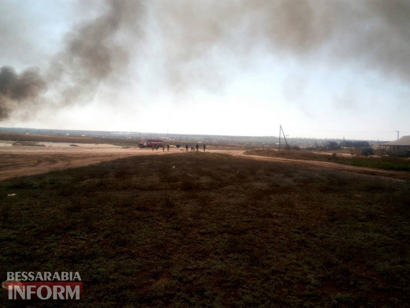 В Мологе горит камыш и сухая трава, спасатели пытаются потушить пожар - под угрозой жилые дома
