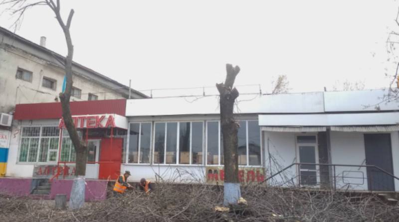 В Татарбунарах коммунальщики продолжают варварски обрезать деревья