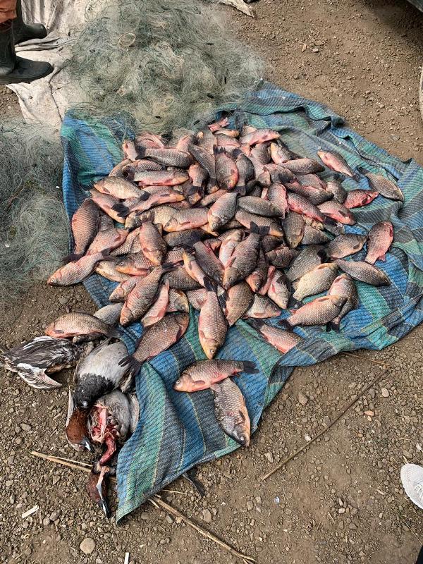 На озере Кугурлуй задержали браконьеров с километровыми сетями и 100-килограммовым уловом
