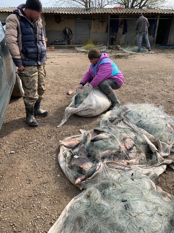 На озере Кугурлуй задержали браконьеров с километровыми сетями и 100-килограммовым уловом